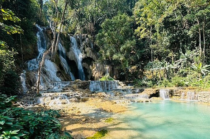 Day Trek to Kuangsi Waterfall and Bear Sanctuary - Luang Prabang full day tour - A useful stop at the Bear Rescue Center