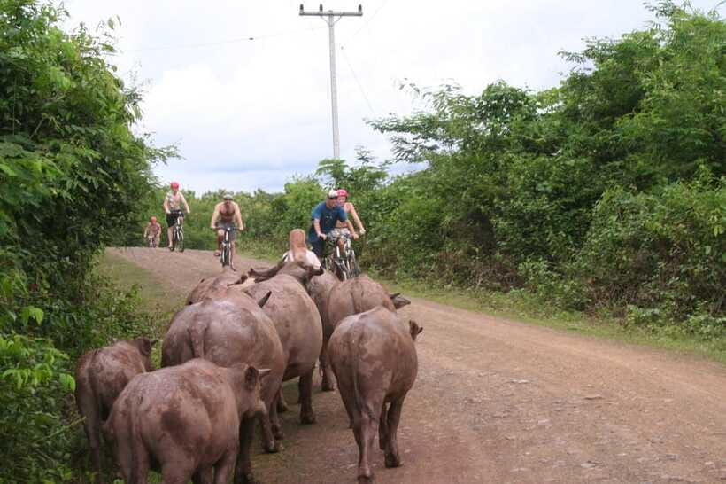 From Luang Prabang: Guided Mountain Bike Tour with Lunch - Village stops, temples, and everyday Laos