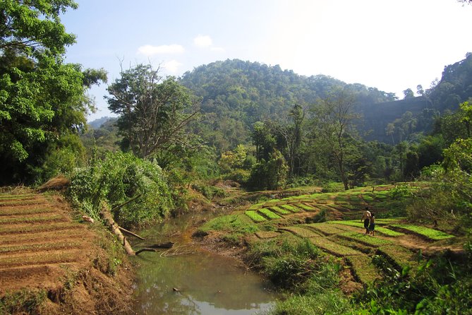 Full Day Crossing the Bolaven Plateau - Lunch in a local restaurant