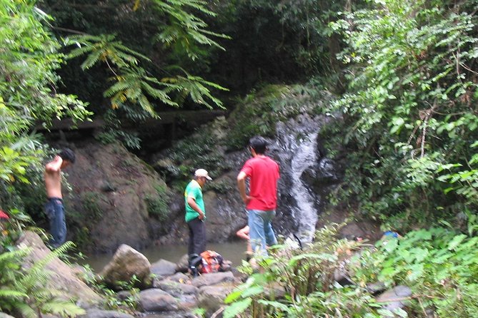 Full Day Trek to Kuang Si Waterfalls, Remote Village - The Bear Rescue Center and Kuang Si Heritage Rice Farm