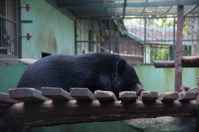Full Day Trek to Kuang Si Waterfalls, Remote Village - Returning to Luang Prabang by Mekong boat