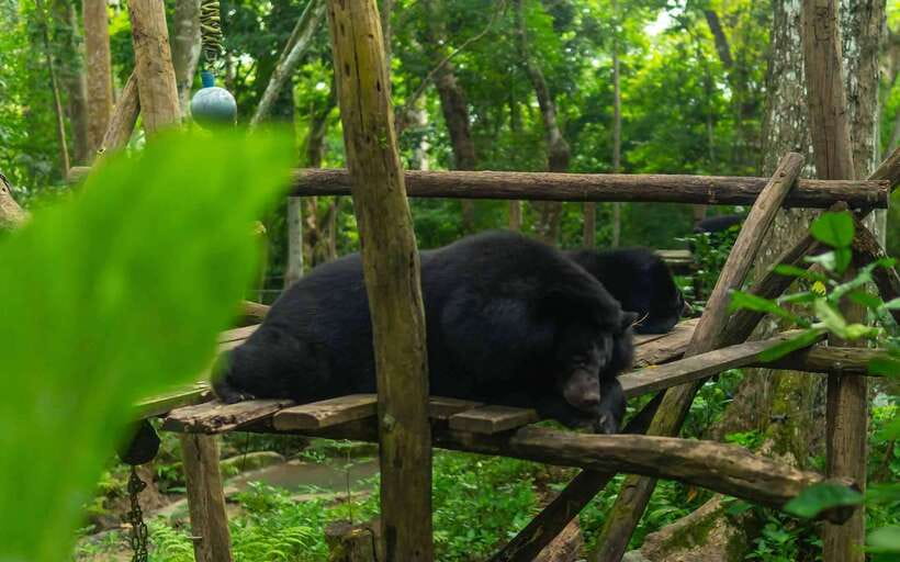 Kuang Si Waterfall, Tree Top Cafe, Ziplining - How the seven-hour schedule works