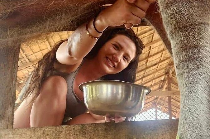Laos Buffalo Dairy Tours Interact, Learn and Taste Fresh Flavors - Choosing between the Buffalo Buffet and longer farm options