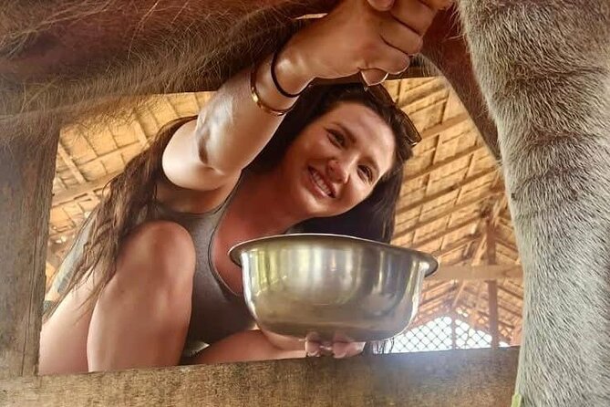 Laos Buffalo Dairy Tours Interact, Learn and Taste Fresh Flavors - Who will enjoy this farm visit most?