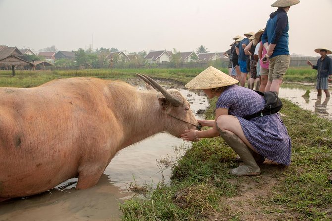 Living Land Rice Farming Experience - Is $64.17 a fair price?