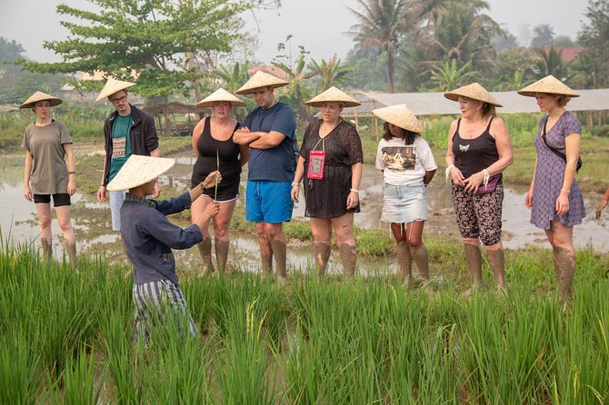 Living Land Rice Farming Experience - Transport and add-on excursions