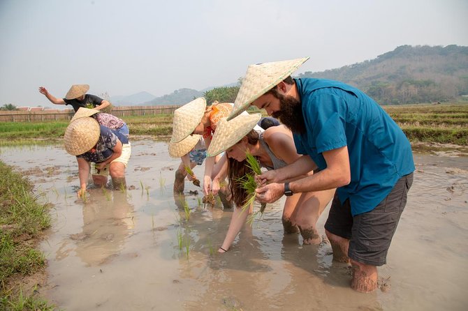 Living Land Rice Farming Experience - Who should book this experience?