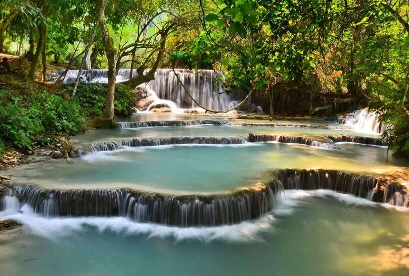 Luang Prabang: Bamboo Experience & Kuang Si Falls Tour - The sun bear rescue center