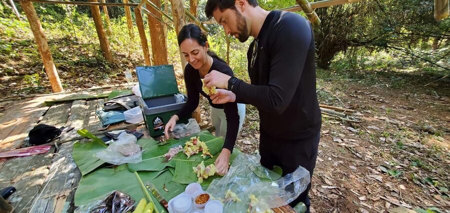 Luang Prabang: Bamboo Forest Cooking-class & Farm Visit - What your $100 includes and what it does not