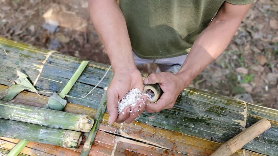 Luang Prabang: Bamboo Forest Cooking-class & Farm Visit - Who will enjoy this, and who may not