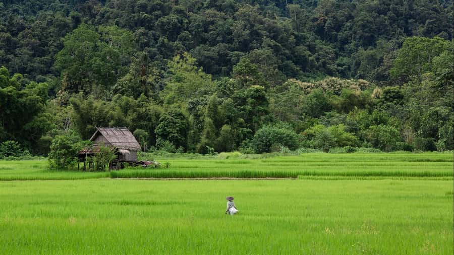 Luang Prabang: Countryside Mountain Bike Tour with Lunch - The main road section and the Nam Xuang River