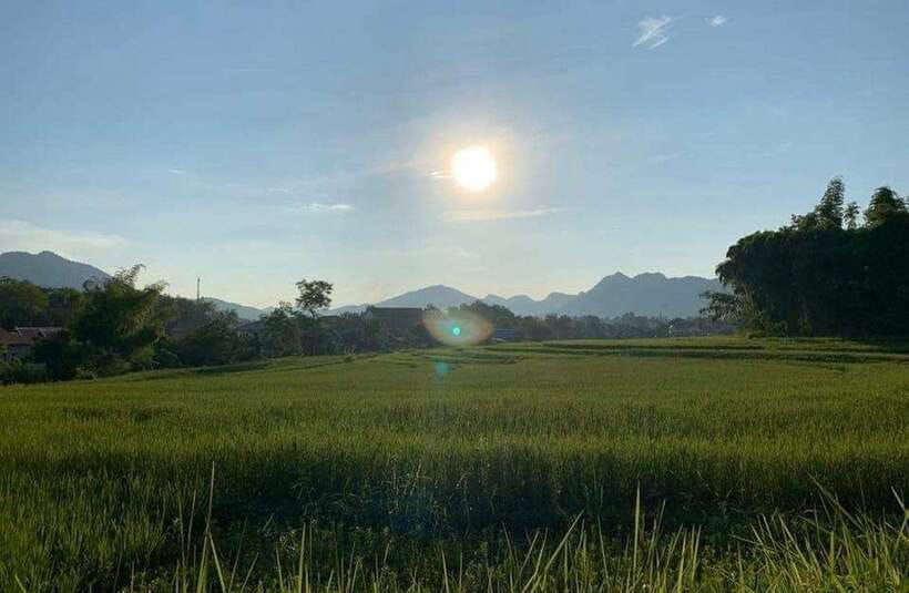 Luang Prabang: Evening Cooking Class & Local Baci Ceremony - Cooking five Lao dishes beside the rice fields