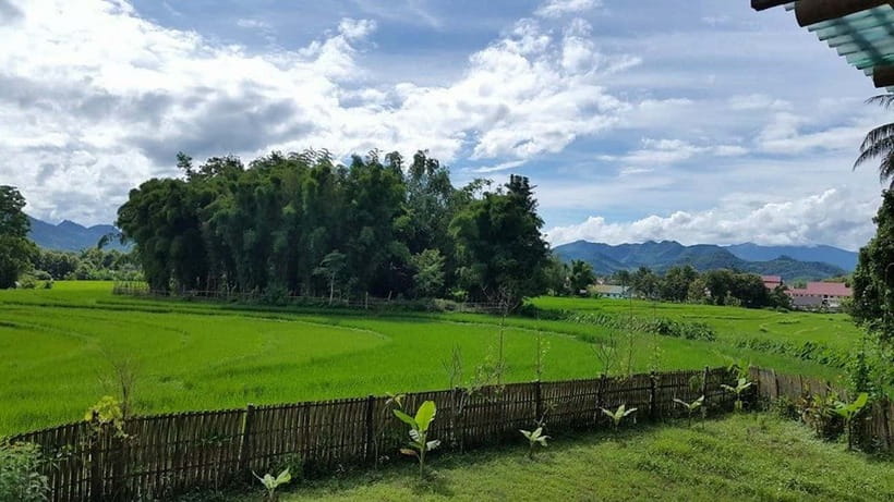 Luang Prabang: Evening Cooking Class & Local Baci Ceremony - What the $51 price includes