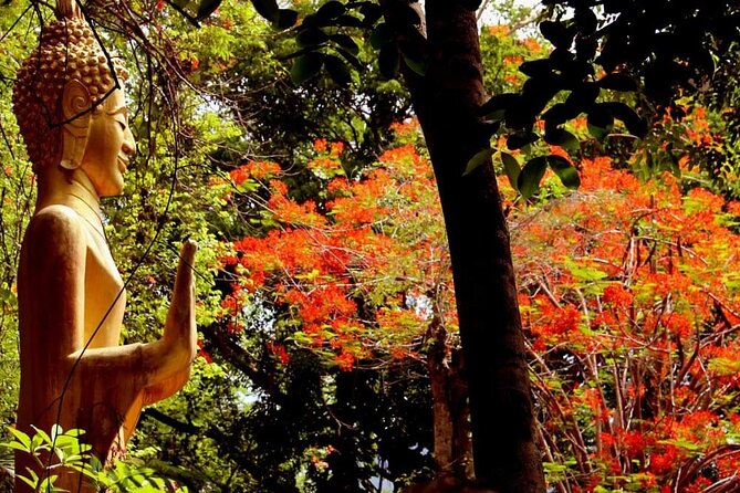 Luang Prabang Foodie Walking Tour and Monk Blessing - Timing, group size, and walking comfort