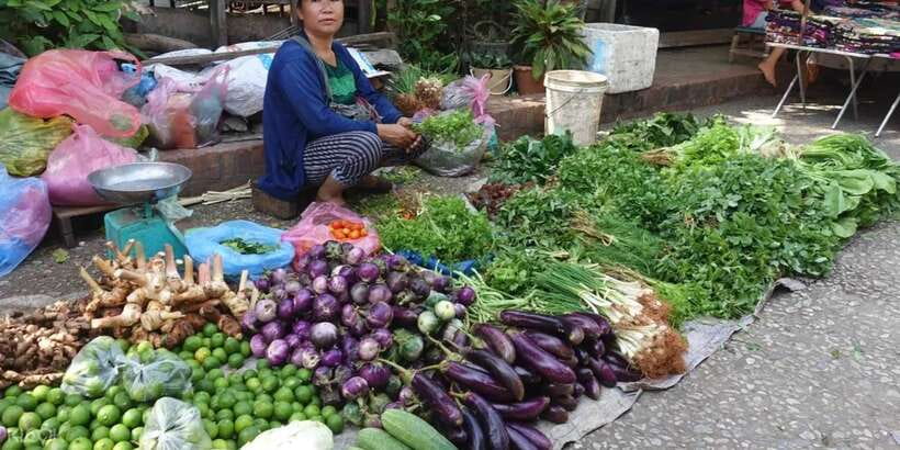 Luang Prabang: Foodie Walking Tour & Monk Blessing - Who Should Book This Food Walk?