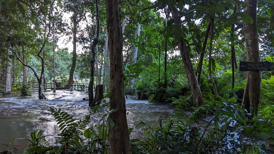 Luang Prabang: Full Day Trek to Kuang Si Waterfall & Village - Four hours through farms, forest, and mountain springs