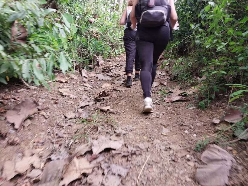 Luang Prabang: Hiking Off the Beaten Track with Picnic Lunch - Nong Long Koot and the first half of the walk