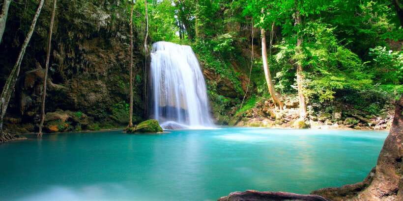 Luang Prabang: Local Village & Kuang Si Falls Private Tour - The bear sanctuary beside the forest trails
