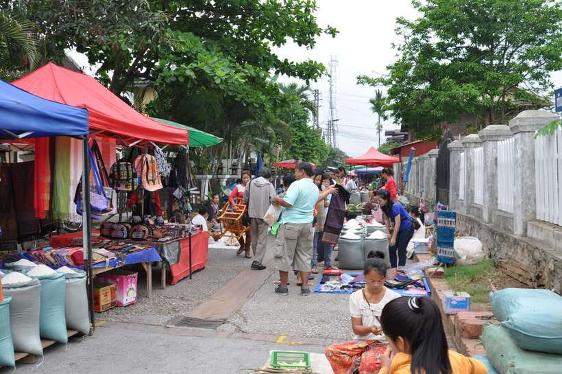 Luang Prabang: Local Village & Kuang Si Falls Private Tour - What the $119 price covers