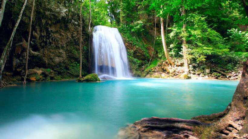 Luang Prabang: Local Village & Kuang Si Falls Private Tour - Phosi Market and the practical side of local life