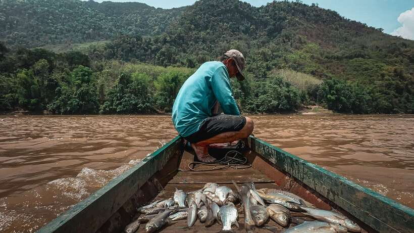 Luang Prabang: Mekong Fishing with a Local Fisherman & Lunch - A fishing morning that feels tied to real life