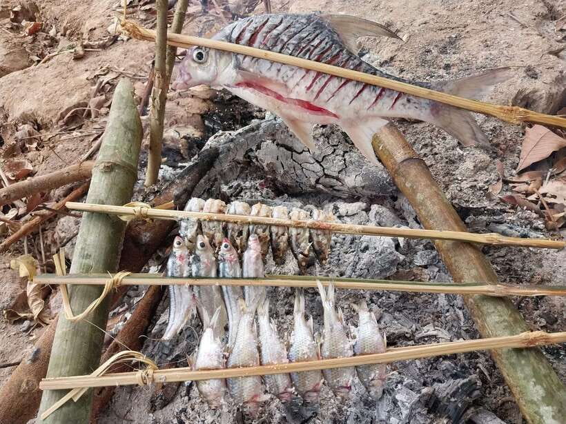 Luang Prabang: Mekong Fishing with a Local Fisherman & Lunch - A quiet beach lunch made from the catch