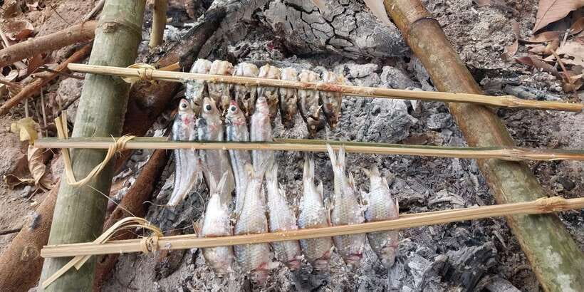 Luang Prabang: Mekong Fishing with a Local Fisherman & Lunch - Returning through Ban Sing