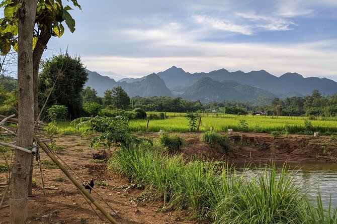 Luang Prabang Mountain Bike Cycling Tour - Trek Marlin 7 bikes and the level of effort