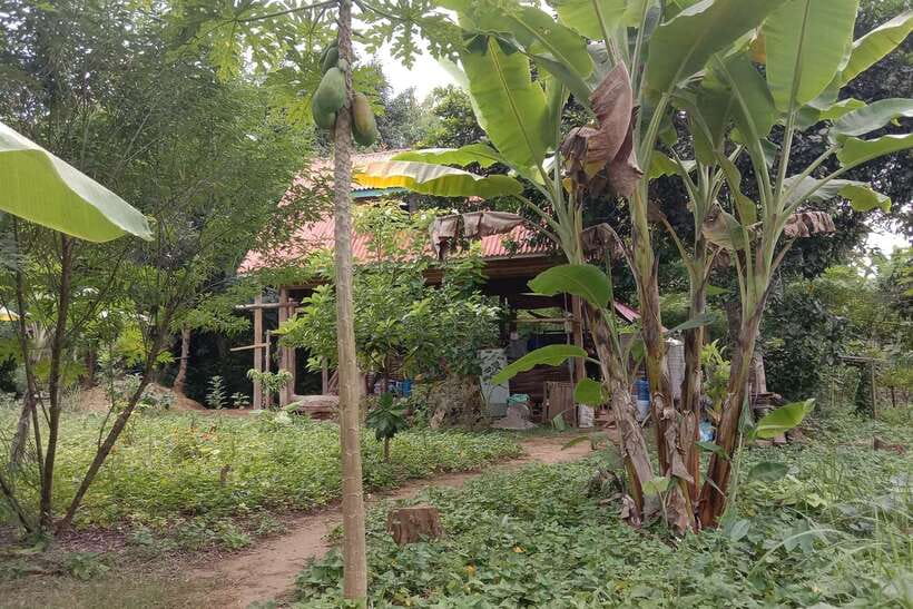 Luang Prabang: Organic Farm Experience & Hike to Kuang si - Hiking for two hours toward Kuang Si Falls