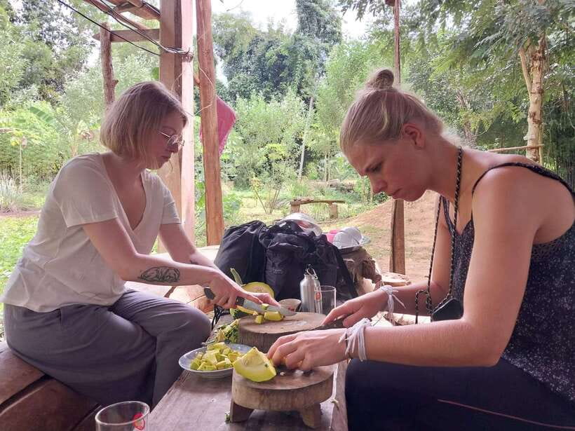 Luang Prabang: Organic Farm Experience & Hike to Kuang si - Cooking a four-course Lao lunch