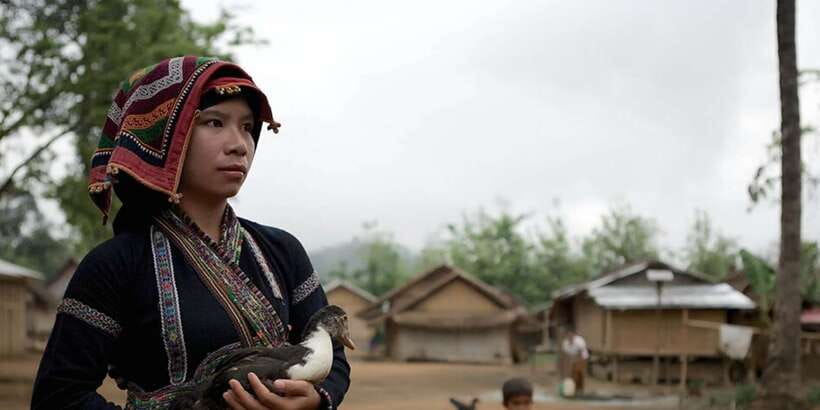 Luang Prabang Thin Pha Trail & Tad Sae Falls Trek - From Ban Houay Yen to the Nam Khan
