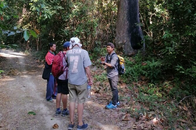 Nong khiaw, 1Day Muang Ngoy Waterfall, Local Village and Kayaking - Walking from Sopkong village to Tad Mok Waterfall