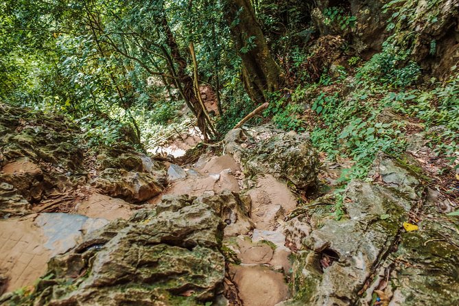 One Day Guided Tour: Kayaking, Zipline & Tubing In The Cave from Vang Vieng - Kayaking the Nam Song for about two hours