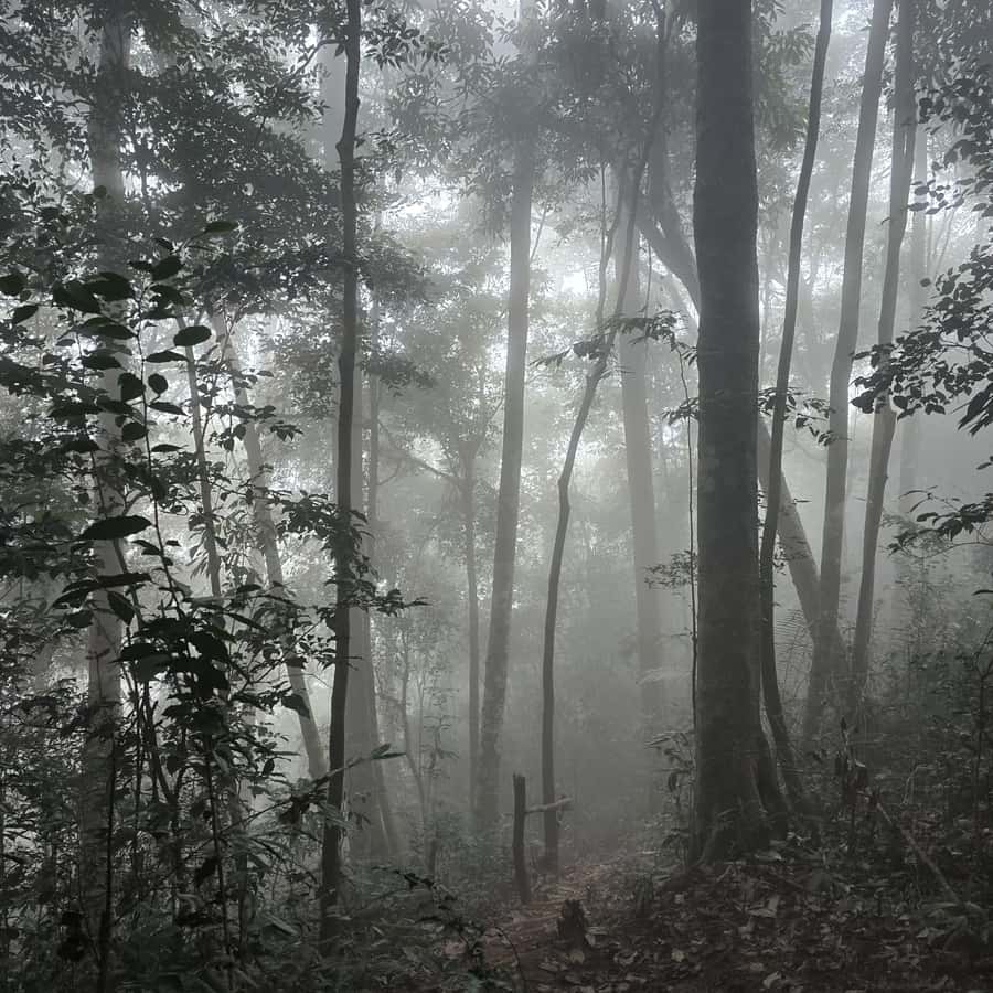 Overnight Camping At nong khiaw view point, 360 view - What the $35 price really covers