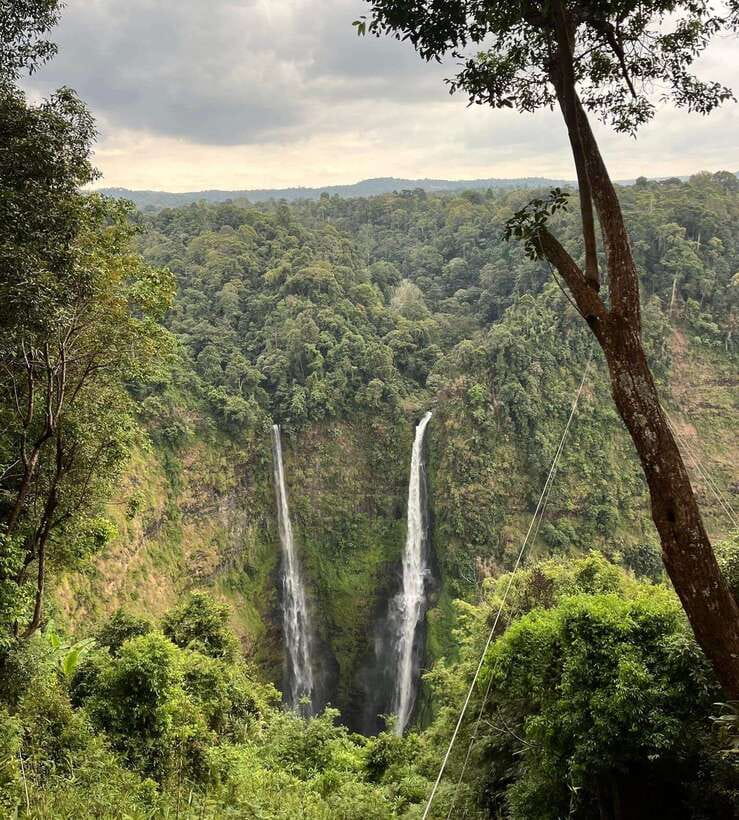 Pakse: Mystic Falls & Timeless Temples of Southern Laos Tour - Key points to know before booking