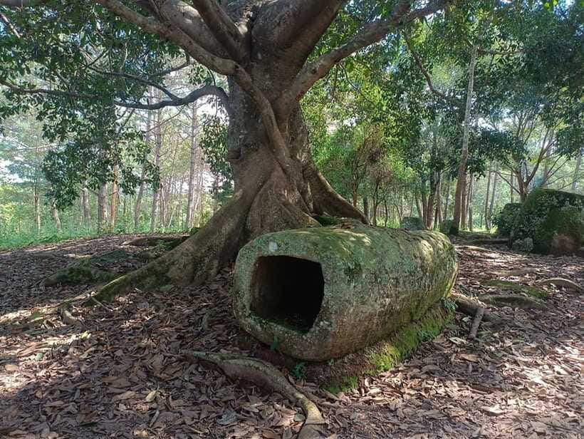 Plain of jars private tour - Site 1 and the biggest group of jars