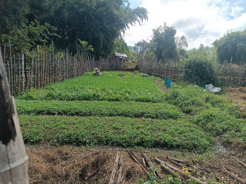 Plain of jars share group tour - Lunch in Lak Khai