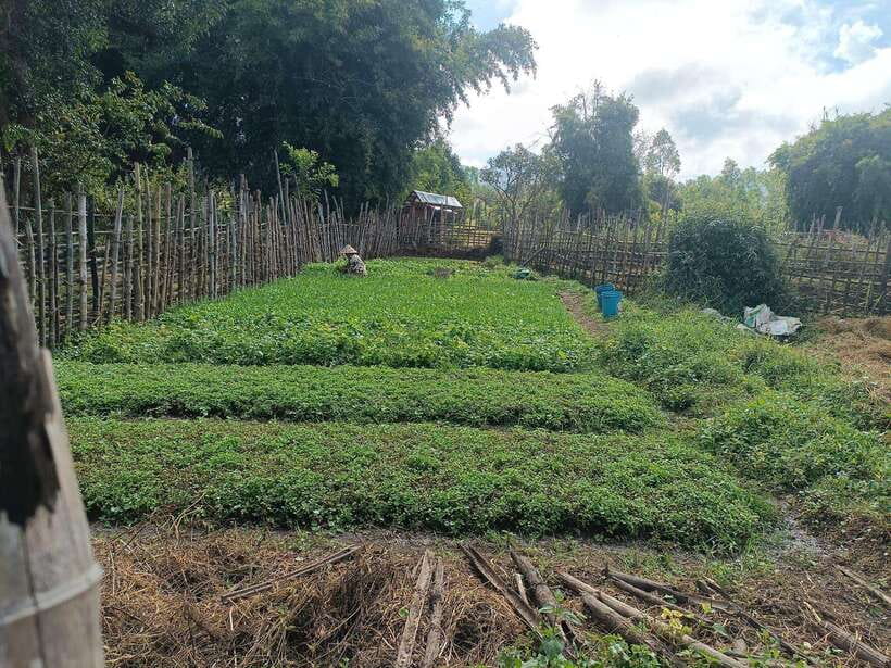 Plain of jars share group tour - Site 2 at Ban Na Kho