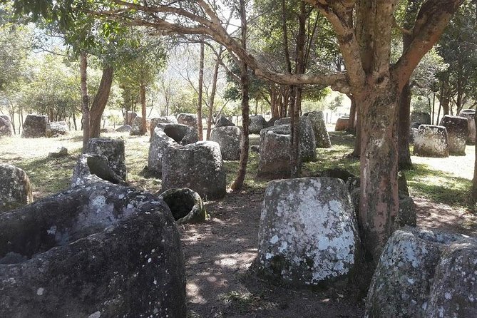 Plain of jars tour with local guide - What the $146 price includes