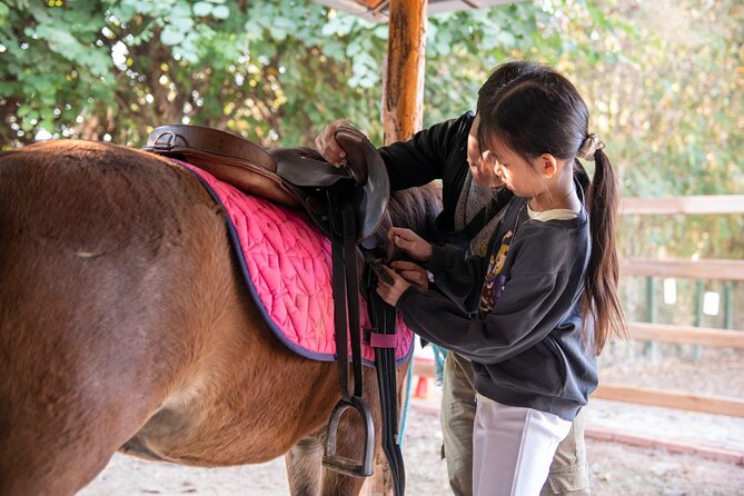 Pony Riding in Luang Prabang - Meeting the Hmong Horses Outside Luang Prabang