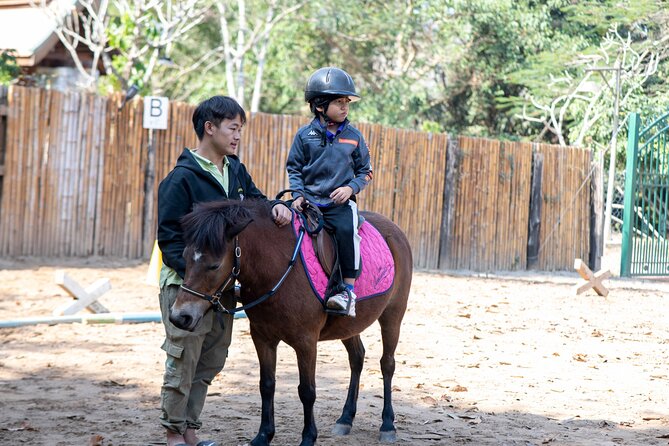 Pony Riding in Luang Prabang - Grooming and Practice Before the Ride