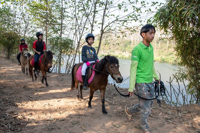 Pony Riding in Luang Prabang - Rice Fields From the Saddle