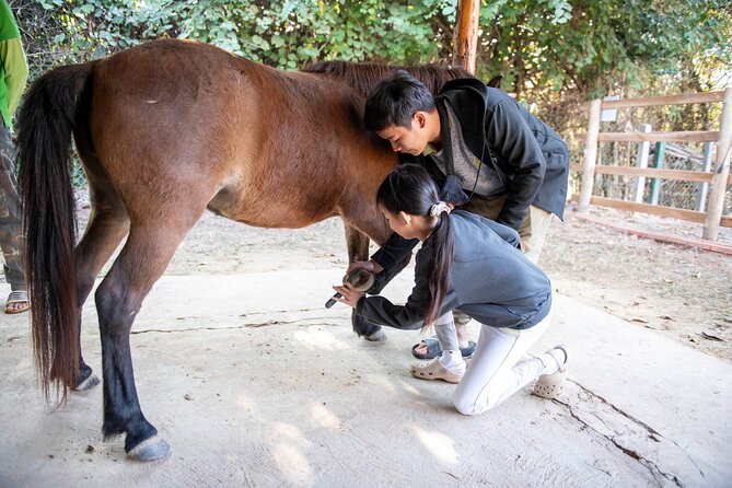 Pony Riding in Luang Prabang - Village Trails and Everyday Rural Life