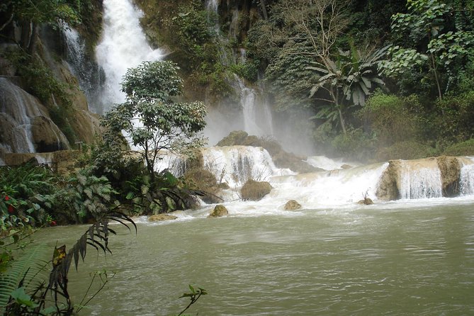 Private Tour Full-day Morning Market, Villages and Scenic Kuang Si Waterfall - The bear sanctuary adds a worthwhile second purpose