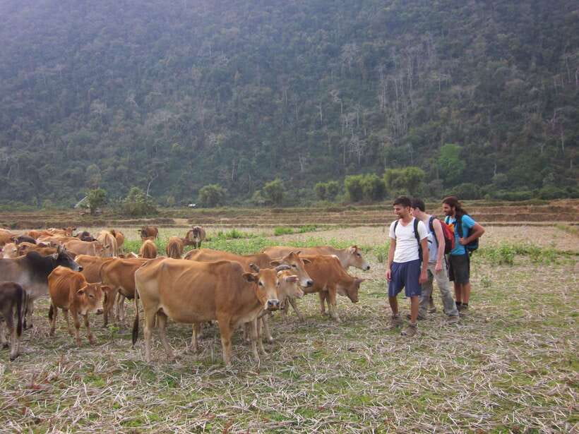 Vang Vieng: Jungle & Caves Full-Day Private Trekking Tour - Key points at a glance