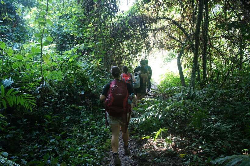 Vang Vieng: Jungle & Caves Full-Day Private Trekking Tour - Starting at Phathao village at 9:00 AM