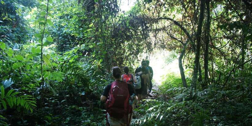 Vang Vieng: Jungle & Caves Full-Day Private Trekking Tour - The descent to Secret Eden