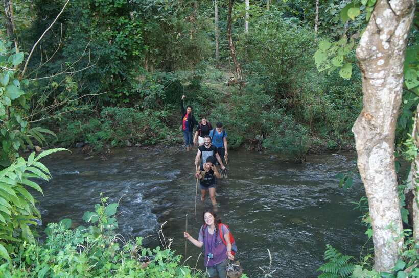 Vang Vieng: Jungle & Caves Full-Day Private Trekking Tour - A bamboo-cooked picnic in the jungle
