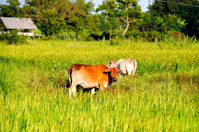 Vientiane Day Trip By Bike To Tad Moon Waterfall - Key points to know before booking