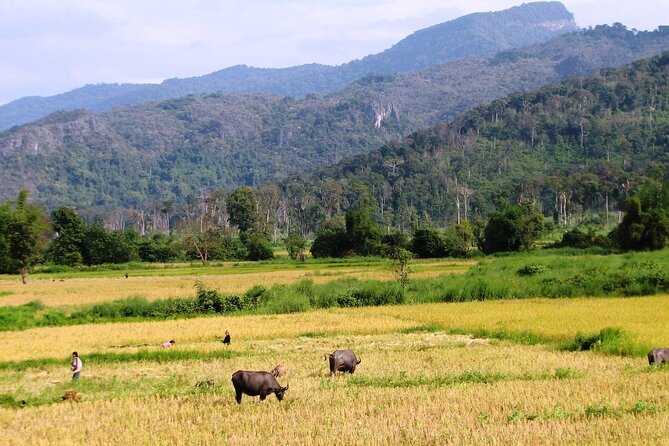 Vientiane Day Trip By Bike To Tad Moon Waterfall - Why this Vientiane day trip feels different